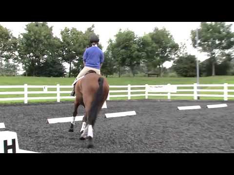 Riding with a balanced position in walk, trot and canter