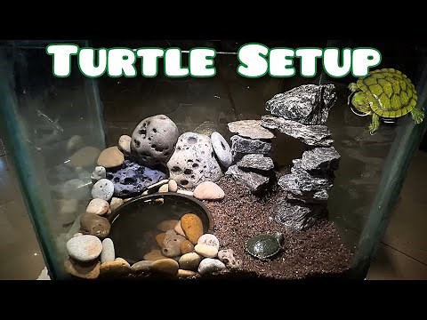 Finally Red Eared Turtle Tank Setup - Imran's World