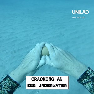 This is what happens when you crack an egg under water 😮 🍳 | UNILAD