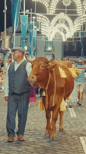 Ontem, a história desfilou pelas ruas da Praia. O Desfile Etnográfico celebrou as nossas raízes com cor, ritmo e tradição! 🇵🇹✨ #FestasDaPraia2025 #CulturaAçoriana #PraiaDaVitória | Festas da Praia