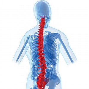Can You Get Blood Clots From Spinal Surgery? - Premia Spine