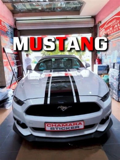 Mustang 😈 🔴 වාහන නවීකරණයේ අංක 1කේ ආයතනය - චාමර ස්ටිකර් 🔴 🔴 දිනපතා උදෑසන 8.30 සිට රාත්‍රී 7.00 දක්වා විවෘතයි 🔴 📞 Hotline-0703 111 444/ 0113 111 444 Golden Business Excellence Awards 2025 🏆 🏆 Excellence in Car Audio Innovation & Sound Engineering of the Year - 2025 🏆 Excellence in Vehicle Branding & Precision Vinyl Applicator of the Year - 2025 🏆 Pinnacle Awards 2024 🏆 🔴 VEHICLE MODIFICATION INNOVATOR OF THE YEAR - 2024 🏅 🔴 MOST POPULAR AUTOMOBILE SOCIAL MEDIA CHANNEL OF THE YEAR - 2