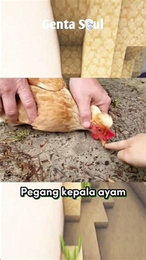 Weird experiments that will blow your mind!!