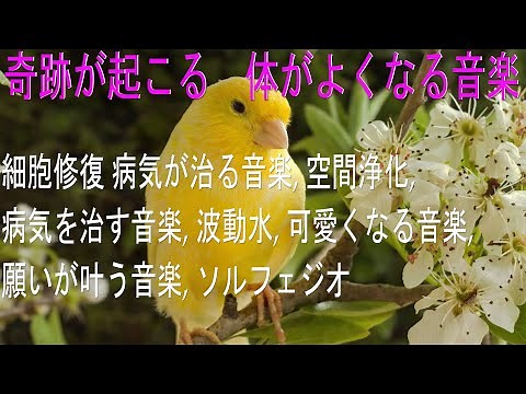 奇跡が起こる 体がよくなる音楽 【528Hz】病気治療 DNA・細胞修復 病気が治る音楽, 空間浄化, 病気を治す音楽, 波動水, 可愛くなる音楽