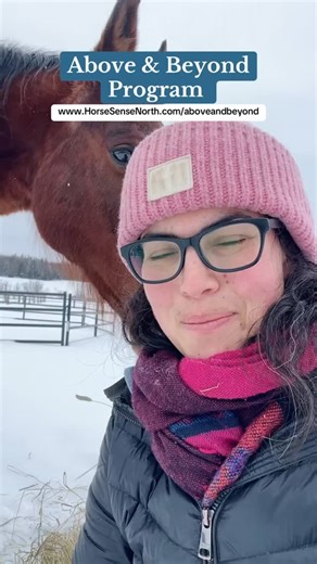 Above & Beyond is our 5-day trauma recovery and wellness program with horses for public safety personnel. Quick facts: ✨ 3 months of virtual aftercare ✨ Clinically supervised by Dr Steven Jett, Jett Psychological Services ✨No riding, no trauma talk, no need for a mental health diagnosis ✨ Support that is confidential, and completely different First responders and other public safety personnel who have access to psychological services in their benefits could be eligible to have this program cover