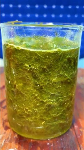 DIY Paper Making from Grass!