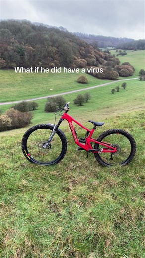 Experiencing a Computer Virus Panic