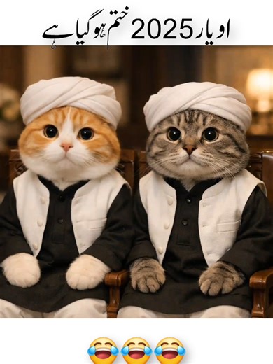 Understanding TikTok Video Visibility Issues