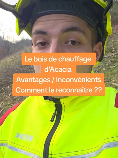 Avantages et Inconvénients du Bois de Chauffage d'Acacia