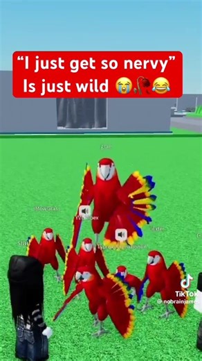 Parrot Mimicking @nobrainjames tiktok