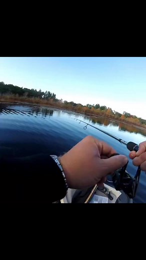 2.2K views | Catching bass is easy on the wacky rig #mikeyshamrocks #fishing #wackyrig #catchandrelease #bassfishing | MikeyShamrocks | Facebook