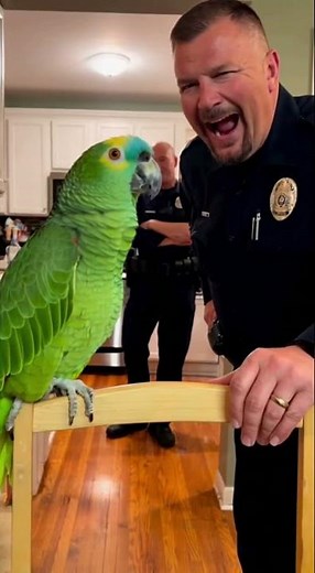 CCTV: Parrot Roasts Officer’s Belly 😂🦜 “That Gut’s Doing Hard Time!” | CamX Originals