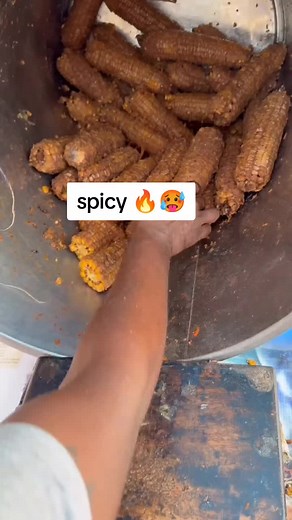 Spicy Street Food Challenge in India