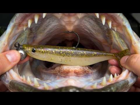 How to rig a Strike Pro Tumbler Shad Оснащення приманки джиг головкою