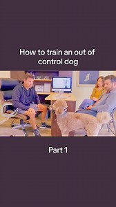268K views · 904 reactions | A Smarter Dog Starts Here! Positive, science-backed training for all breeds. Learn More : https://en-braintrainingfordog.com/ | We Dog Trainer | Facebook