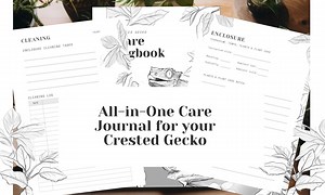Crested Gecko Care Diary, Reptile Logbook Calendar A5 & US Letter Paper Planner Insert - Etsy