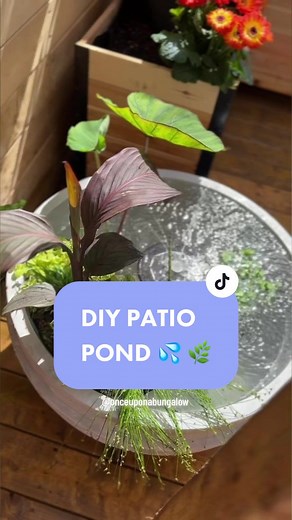 DIY Patio Pond!🪴💦 So simple & so much fun! Follow Once Upon a Bungalow for more Home & DIY! 🏡 #garden #diy #pond #patio #patiopond #pondlife #diyproject #diyprojectsideas #diyprojects #diys #patioseason #patiodecor #homedecor #homedesign #backyarddesign #deck #deckdesign #gardeningtips #gardeninspiration