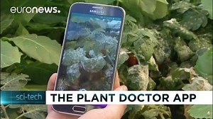 133K views · 249 shares | Plantix, the plant doctor in your pocket. Plantix is a diagnostic app for farmers, gardeners and everybody working in agriculture. Whether you are a farmer interested in sustainable practice or an urban gardener loving tomatoes, the App tests your crops on diseases, pests and nutrient deficiencies with the help of a simple smartphone picture. | Plantix | Facebook