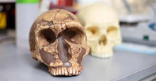 Our Human Ancestors Were Exposed to Lead, and New Research Suggests It May Have Shaped Human Evolution