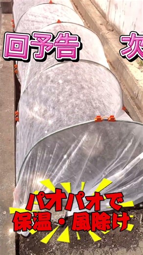 【家庭菜園】小島よしおの「オクラのうた」に乗せて2種類のオクラを種まき！