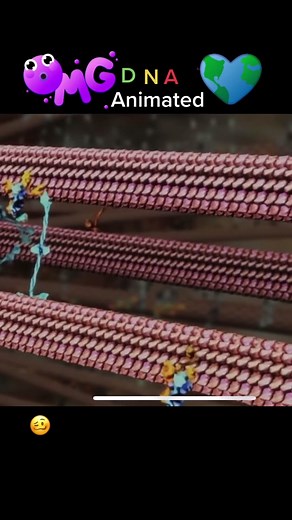 Understanding DNA: The Molecular Machines Inside Your Body