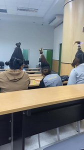 First Plus Property on Reels