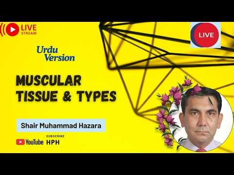 Get Ready to LEARN Muscular Tissue Before Time Runs Out! (urdu)
