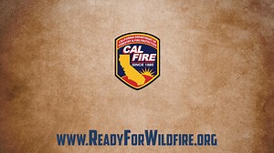 Now is the time to remove fuel for #wildfire by safely removing dead trees on your property. Learn How: http://www.readyforwildfire.org/Dead-Tree-Removal/ #DefensibleSpace #ReadyforWildfire | CAL FIRE