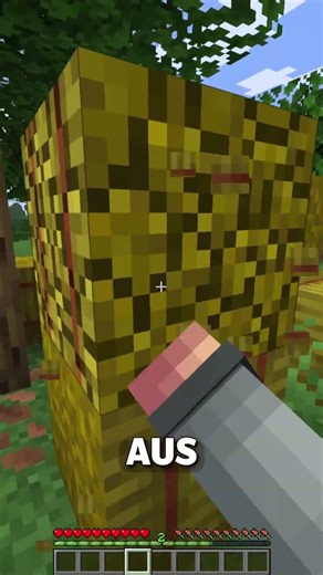 Hast DU die Drei FEHLER erkannt? 👀 (Teil 201) #minecraft #shorts #quiz