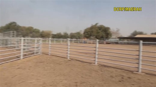 Le Burkina Faso lance l’acquisition de 710 vaches gestantes à fort potentiel laitier. Le ministre Ismaël Sombié a inspecté les infrastructures d’accueil à Loumbila. Nouvelles Afrique www.nouvellesafrique.com | Nouvelles Afrique