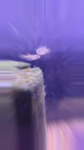 GOURAMI GALORE! These fish have a large variety of color and range...