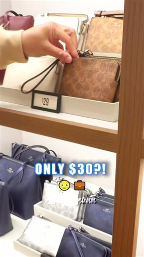 ONLY $30?! Coach Wallet = Perfect Christmas Gift 🎁💼 | Female Accessories Haul