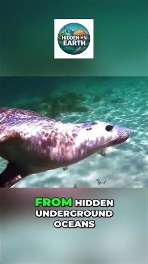 50 Facts About Australia That Change Everything #geography #facts #mindblown