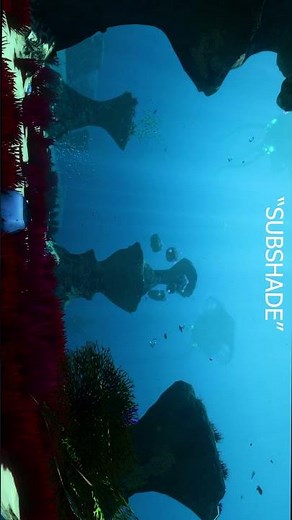 ¿Como instalar Shaders en Subnautica? - "Presentando: 'SubShade'" #subnautica #mods #shaders