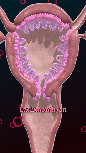 283K views · 1.4K reactions | Ciclo menstrual y ovulación...