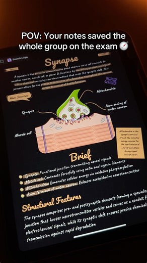 You'll definitely need these notes❗App:ZoomArt💕#study #studynotes #notes #fypp #fyp