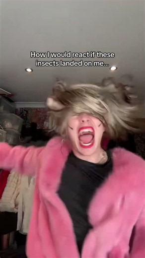 Not the bee! how i would react if any of these insects landed on me #insects #bugs #me
