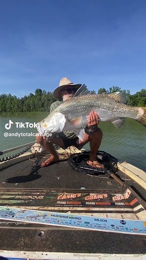 Catching a Massive Barramundi Fish on a Calm River