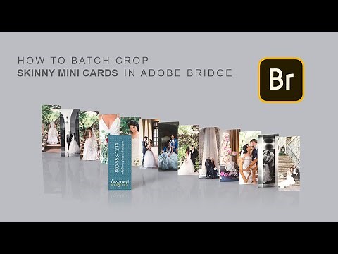 Using Adobe Bridge to Batch Crop and Export Skinny Minis