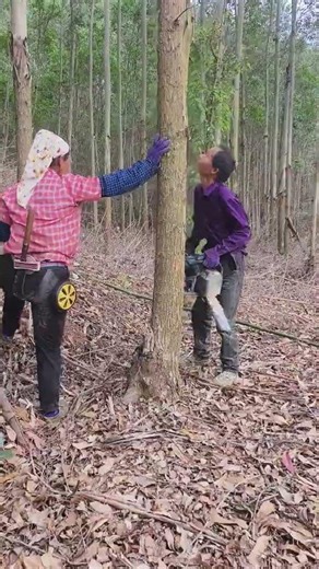 Revolutionize Your Logging Game: Quiet, Easy Switch Lithium Chainsaw - Perfect for Beginne