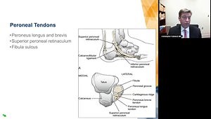 Foot and Ankle Conditions for the Primary Care Practitioner: Posterior Tibial Tendon Dysfunction