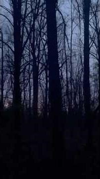 Part 4 Alien Life Forms We Discuss This Mystery Nuclear Evacuation Routes Nuclear Evacuation Sirens