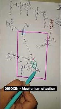 Digoxin - Mechanism of action. #digoxin