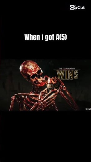 The terminator wins meme