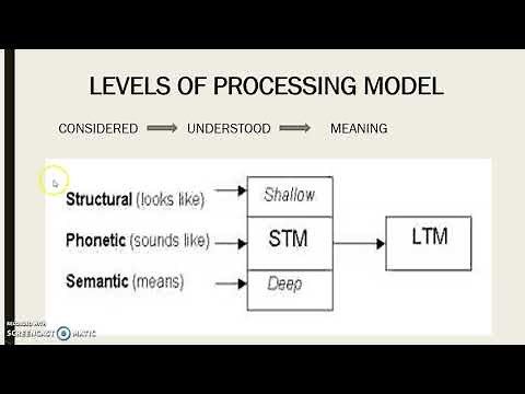 A LEVEL PE - MEMORY 2 - CRAIK AND LOCKHART