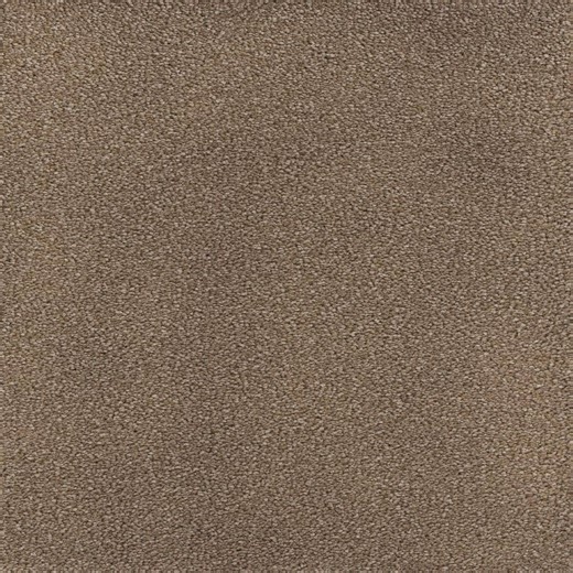 Check The Home Depot's Q&A Before Buying: Home Decorators Collection Spicework I - Springer - Brown 40 oz. SD Polyester Texture Carpet - Installation Required