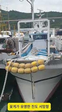 Fishing boats under 10 tons in Jindo Seomang Port, famous for blue crab fishing #travel #tour #Ji...