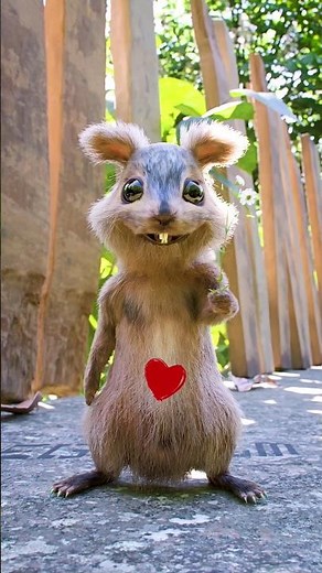 Lovely Squirrel #egofilm
