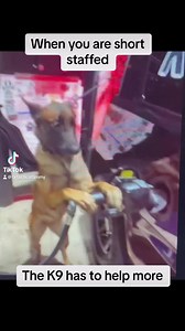 The Blue Voice on Reels