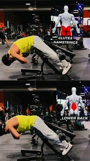 Back extension machine recommendations #eritrea #ethiopia #tiger #tigray #habesha #gym